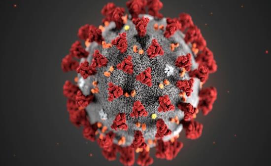 Coronavirus, i dati del 19 Agosto: i contagi continuano a salire. I nuovi casi in 24 ore sono 642.